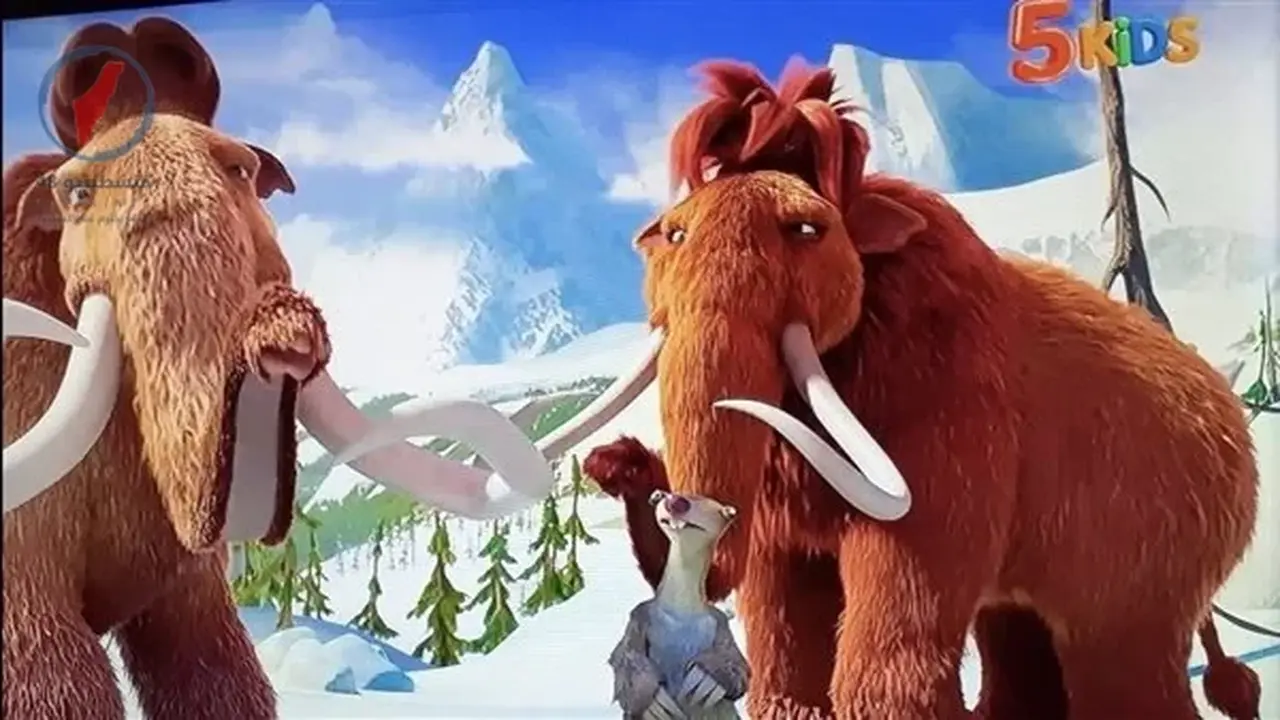 تردد قناة 5 Kids الجديد على قمري نايل سات وعرب سات للعام الجاري